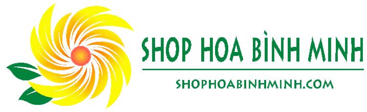 Shop hoa Bình Minh